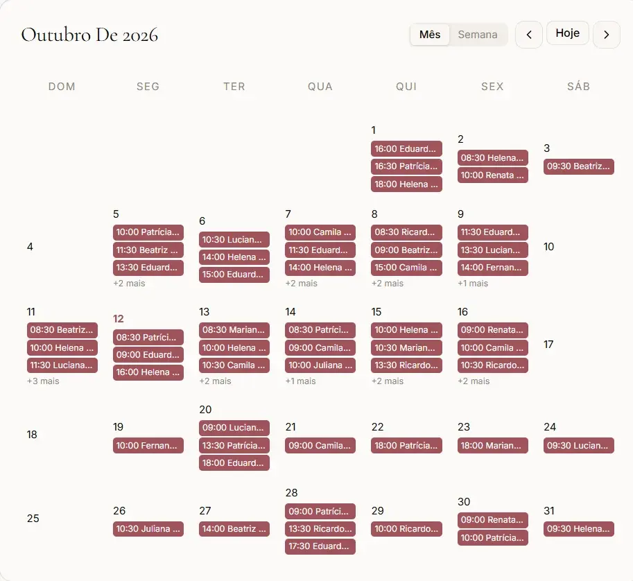 Monthly schedule with each day's appointments (fictitious data)